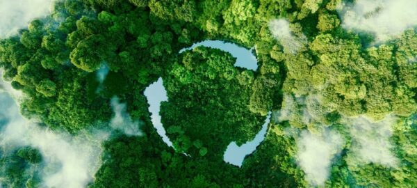 How Can Modern Retail Brands Embrace Sustainability?